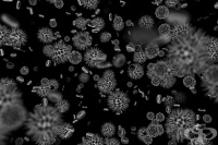 �-������ ������� � ��������� �� ����������� �����������